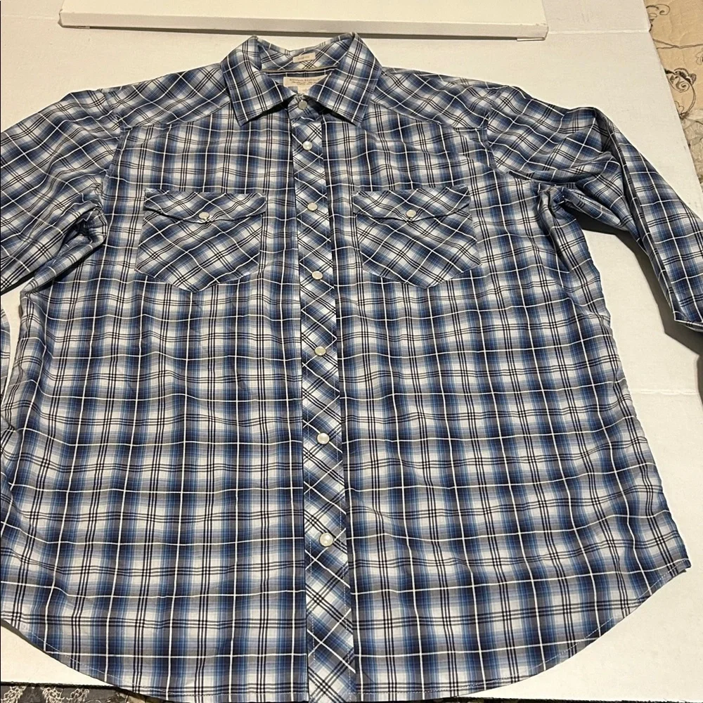 Banana Republic Navy and White Plaid Shirt